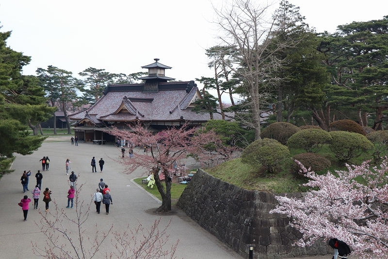 4月28日　五稜郭公園の花見ウォーク　５_b0250154_20231725.jpg