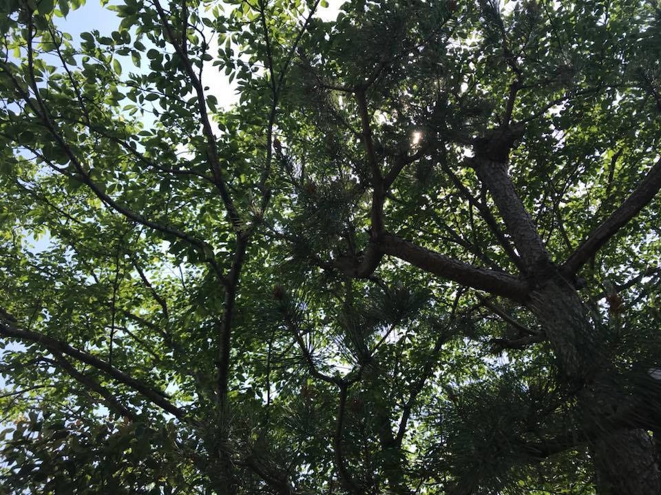 c0115560_16351179.jpg
