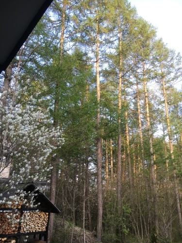 e0325660_22201598.jpeg