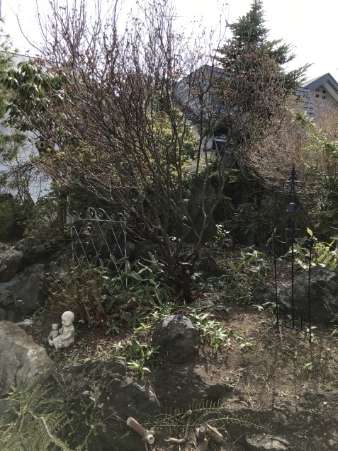 d0320463_15262760.jpeg
