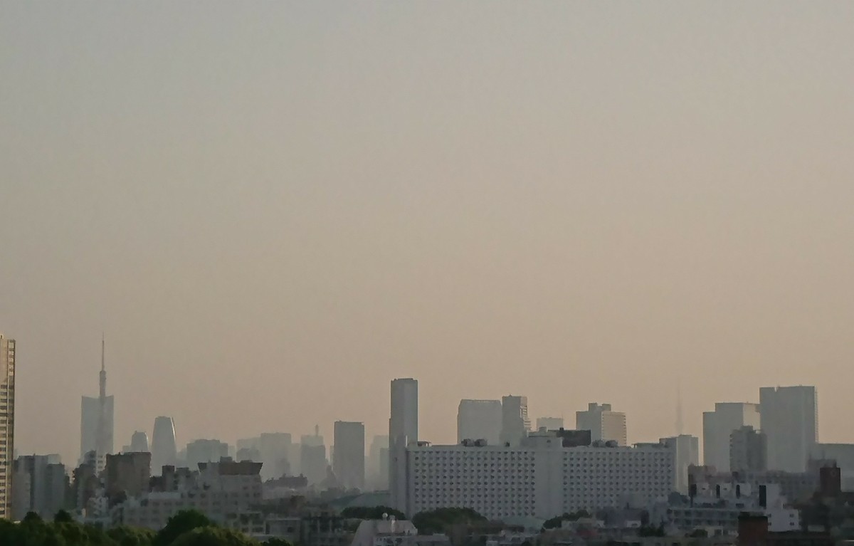 c0100865_05542830.jpg