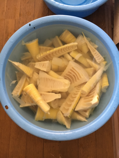筍と山菜三昧ランチ_f0363168_16180537.png