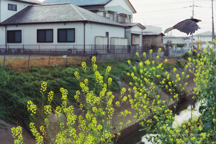 b0246079_08083230.jpg