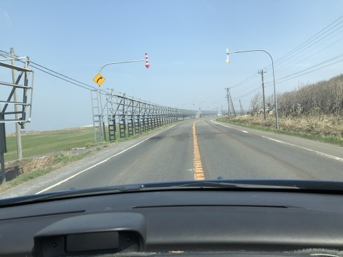 f0333882_12552544.jpeg