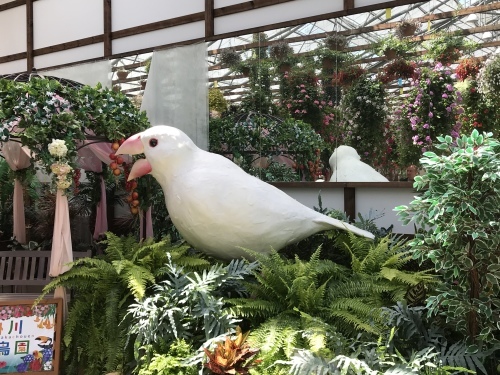 c0340786_15562556.jpeg