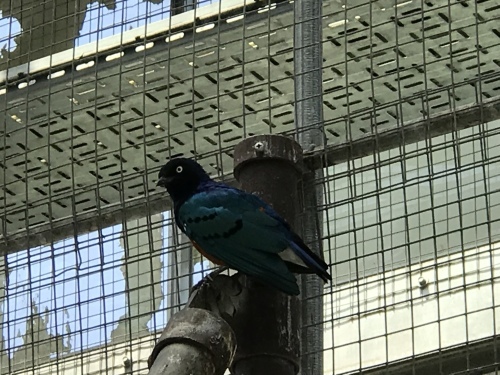 c0340786_16073438.jpeg