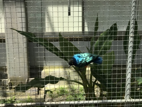 c0340786_16091020.jpeg