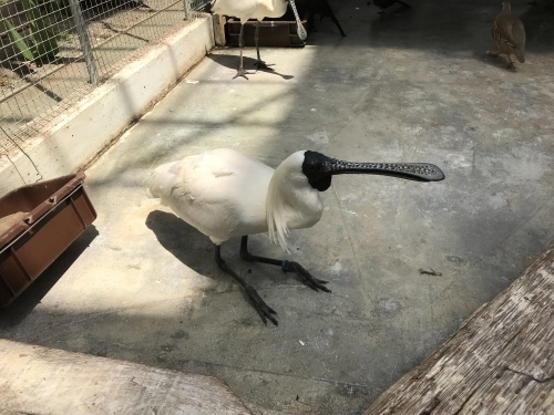 c0340786_16361811.jpeg