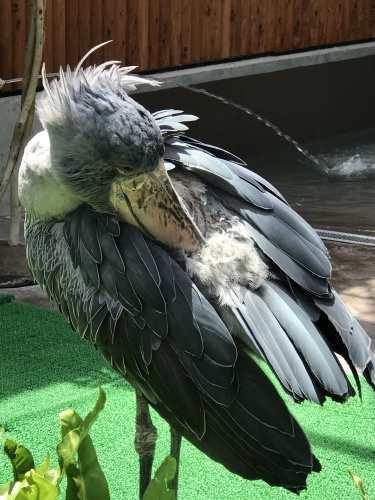 c0340786_16403785.jpeg
