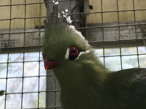 c0340786_16422644.jpeg