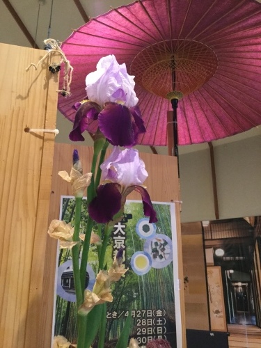 c0151691_16423140.jpeg