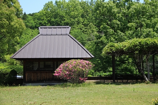 a0222494_20250447.jpg
