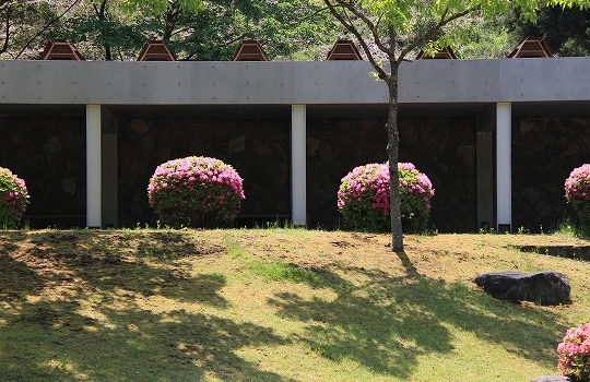 a0222494_20255219.jpg