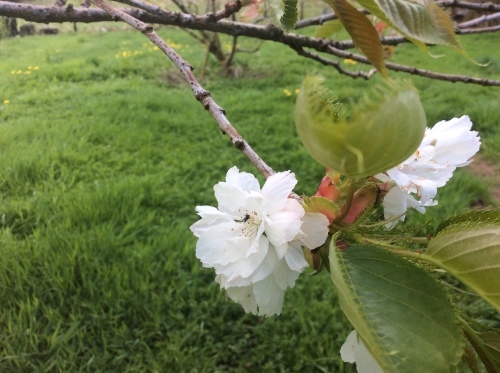 b0110999_20472334.jpeg