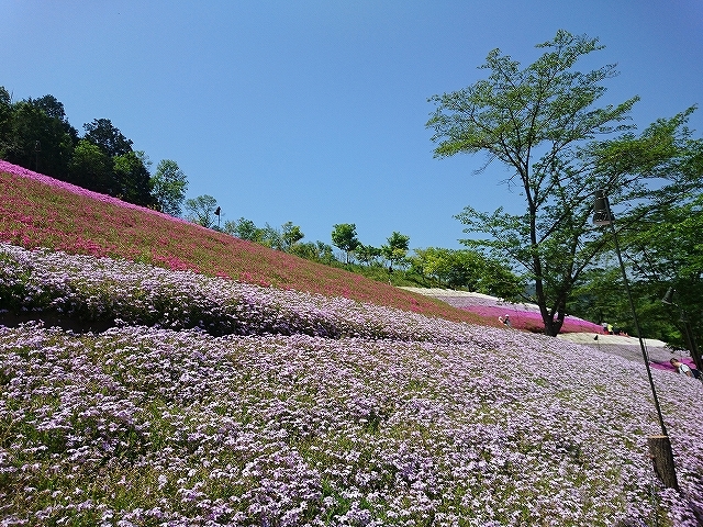 e0289203_14100596.jpg