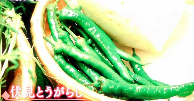 壇蜜の日本美術探訪_b0044404_16171674.jpg