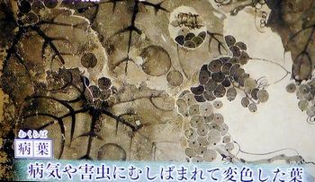 壇蜜の日本美術探訪_b0044404_16370699.jpg