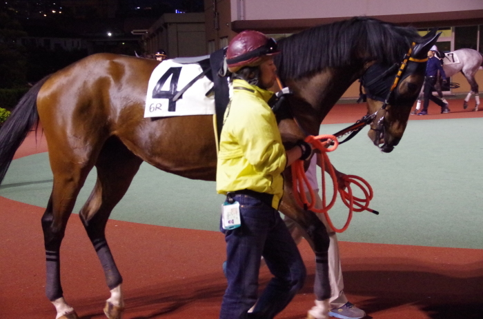 マエストロ 9戦目＠船橋競馬場 6R 2018.4.30_a0371906_21114994.jpg