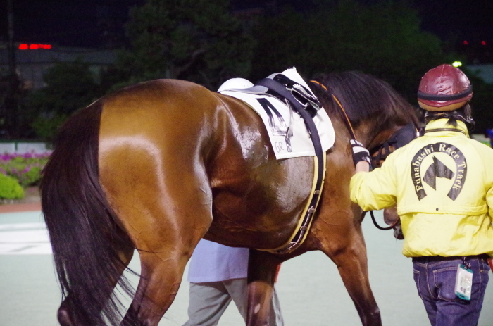 マエストロ 9戦目＠船橋競馬場 6R 2018.4.30_a0371906_21121728.jpg