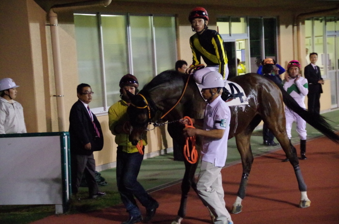 マエストロ 9戦目＠船橋競馬場 6R 2018.4.30_a0371906_21123241.jpg