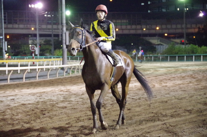 マエストロ 9戦目＠船橋競馬場 6R 2018.4.30_a0371906_21124771.jpg