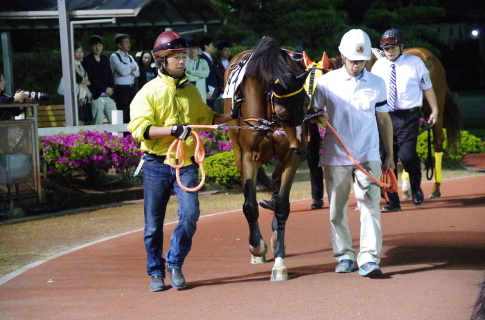 マエストロ 9戦目＠船橋競馬場 6R 2018.4.30_a0371906_21131898.jpg