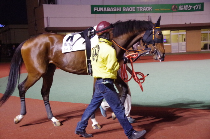 マエストロ 9戦目＠船橋競馬場 6R 2018.4.30_a0371906_21133248.jpg