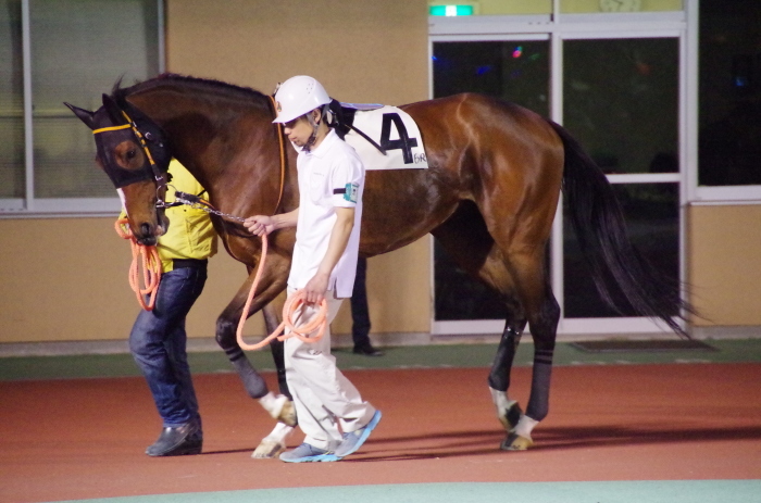 マエストロ 9戦目＠船橋競馬場 6R 2018.4.30_a0371906_21133833.jpg