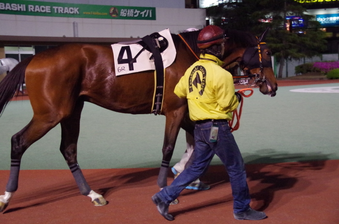 マエストロ 9戦目＠船橋競馬場 6R 2018.4.30_a0371906_22024964.jpg