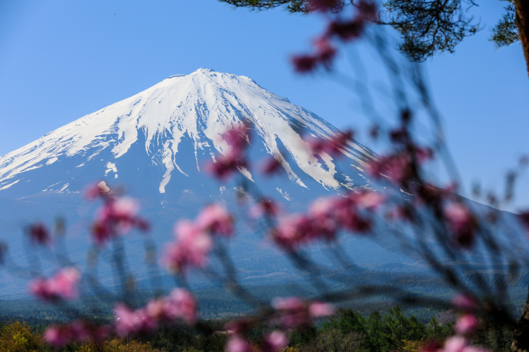 富士山づくし　その１_f0302208_07482388.jpg