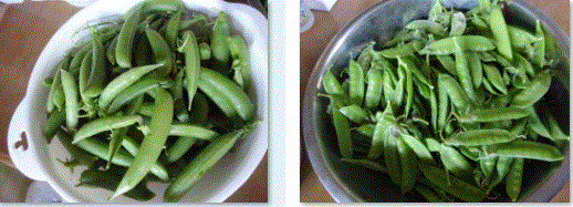 f0231709_12033988.gif