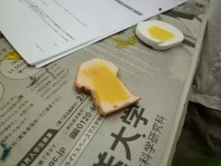 c0315913_17145479.jpeg