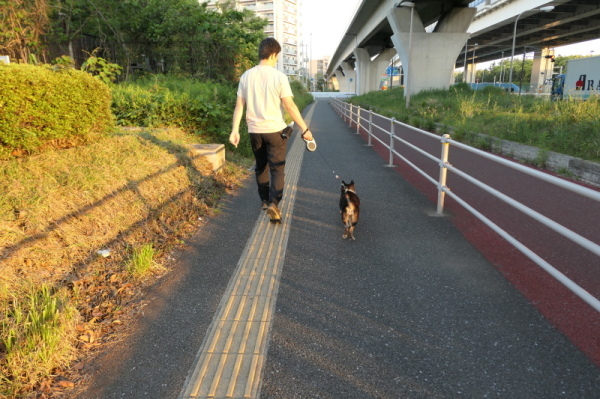 新杉田公園 横浜市磯子区 杉田臨海緑地 Hamasumi Life 新杉田公園 横浜市磯子区 杉田臨海緑地 Hamasumi Life