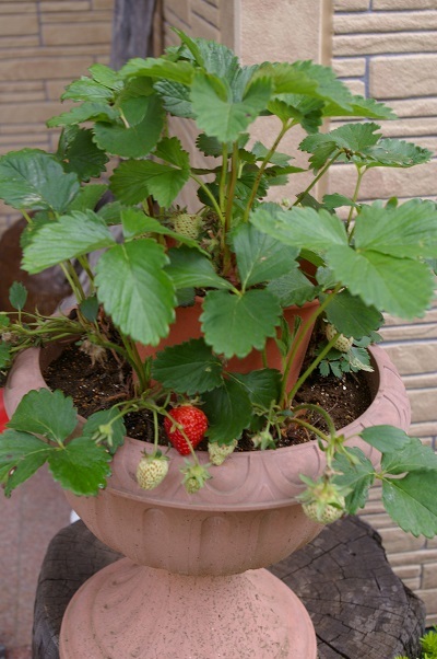 b0275715_09373665.jpg