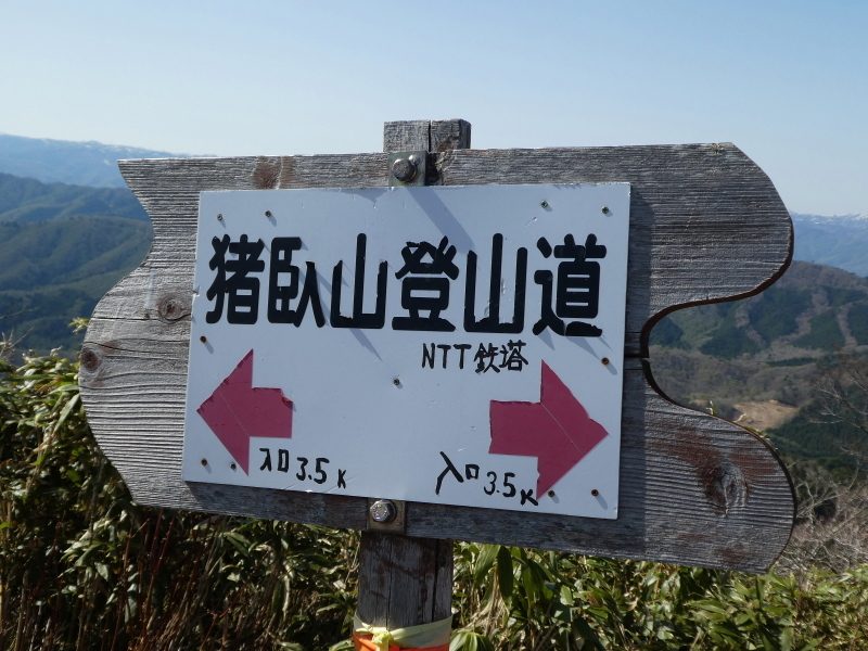 d0170615_17551050.jpg