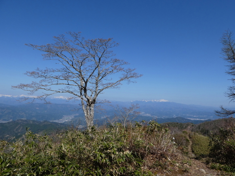 d0170615_17574425.jpg