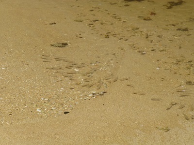 c0227720_01581043.jpg