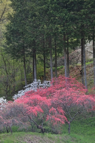 e0242721_08004274.jpg