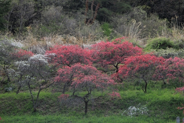 e0242721_08005993.jpg