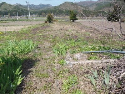f0235026_22423039.jpg