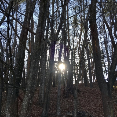 a0291132_18370178.jpeg