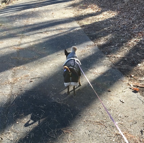 a0291132_18372746.jpeg