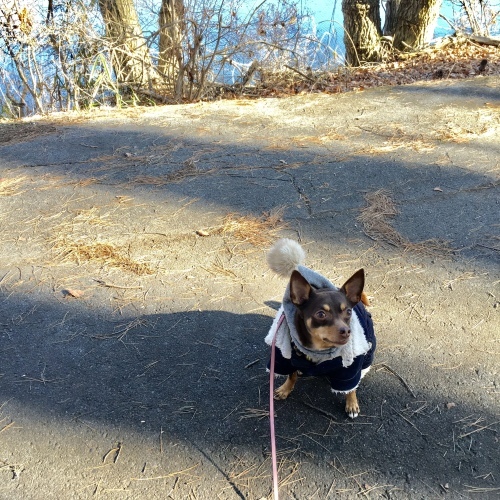 a0291132_18385113.jpeg