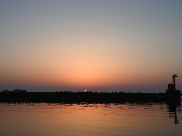 f0118332_23513221.jpg