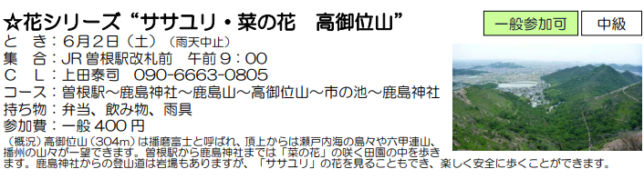 e0371039_2201856.png