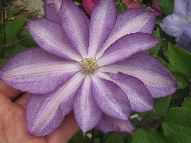c0025140_02205779.jpg