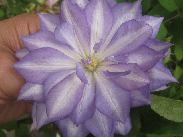 c0025140_02243710.jpg