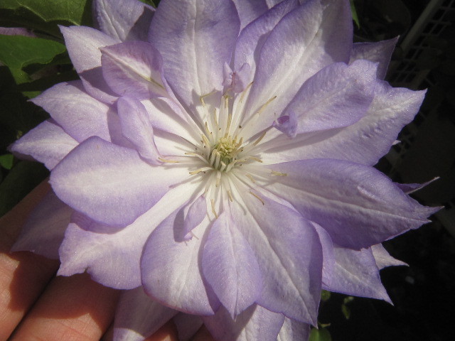 c0025140_02245736.jpg