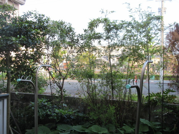 a0269341_07082997.jpg