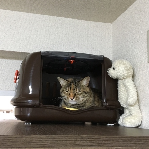 f0372445_19332469.jpeg